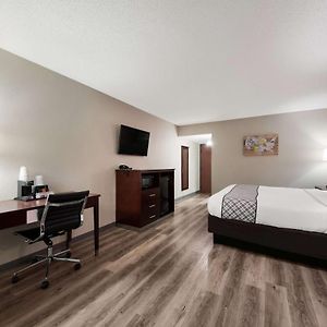 King Room Disability Access